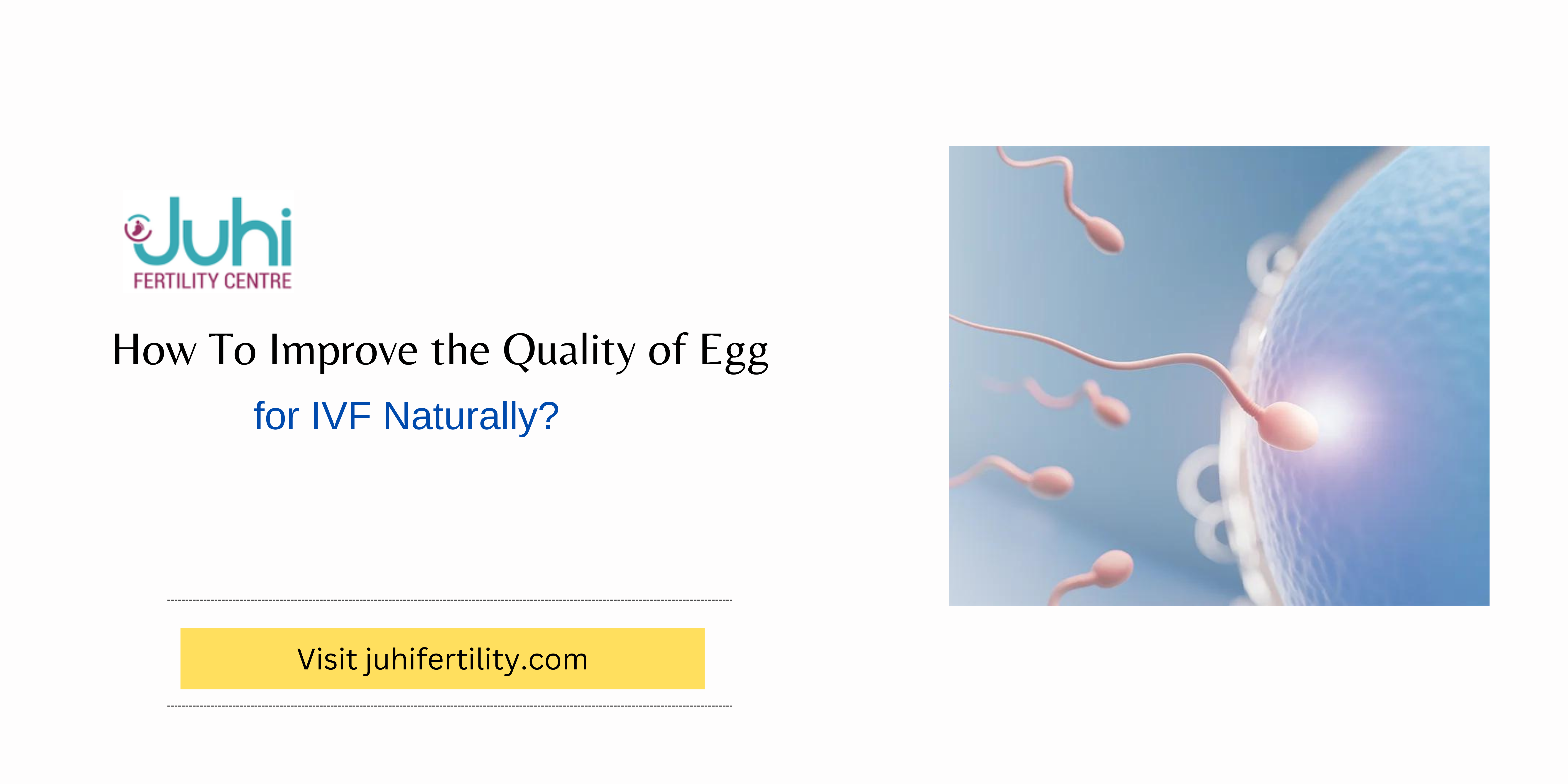 Fertility Awareness for Empowered Conception